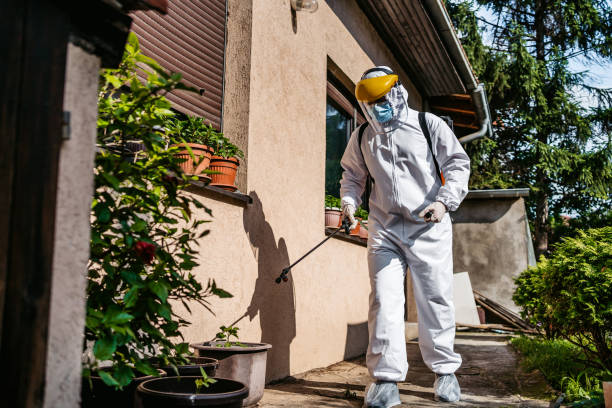 Pest Control for Restaurants in Surgoinsville, TN